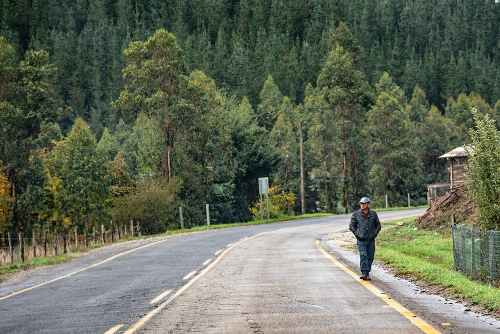 EN RUTA