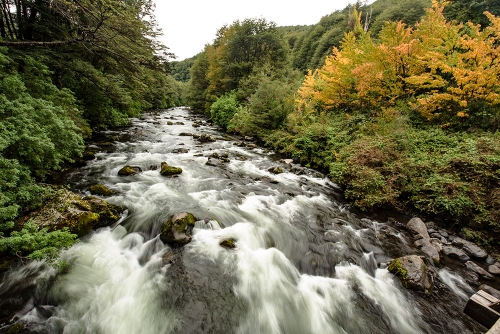 RIO CAUTÍN 