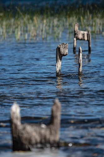 LAGUNA DE ICALMA