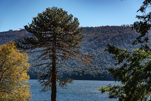 LAGUNA DE ICALMA