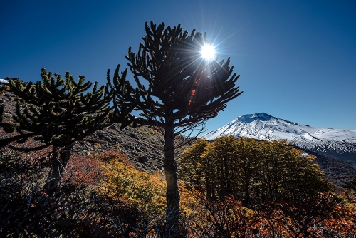 VISTA DESDE SIERRA EL COLORADO, VOLCAN LONQUIMAY