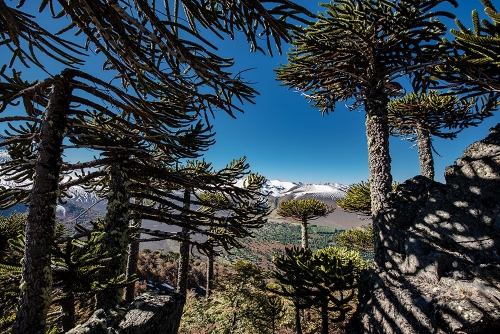 VISTA DESDE SIERRA EL COLORADO