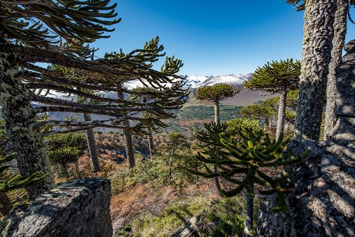 VISTA DESDE SIERRA EL COLORADO