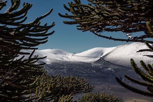 VISTA DESDE SIERRA EL COLORADO