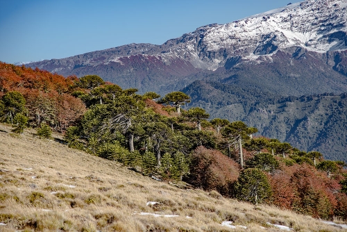 VISTA DESDE SIERRA EL COLORADO