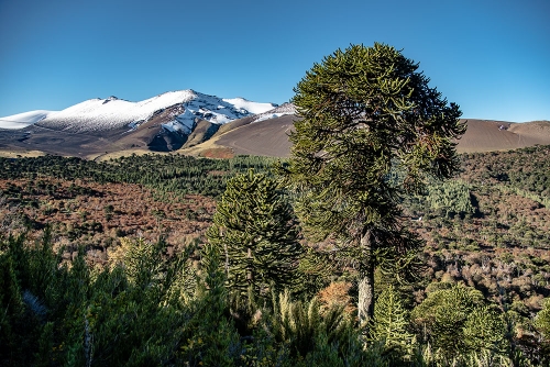 VISTA DESDE SENDERO SIERRA EL COLORADO