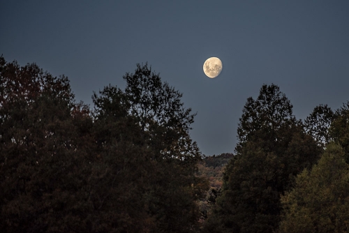 LUNA EN RUTA LONQUIMAY