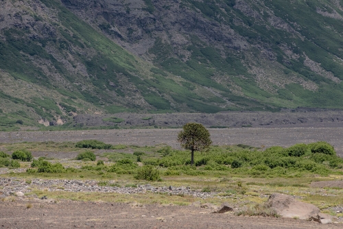 PARQUE NACIONAL LAGUNA DEL LAJA