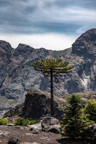 PARQUE NACIONAL LAGUNA DEL LAJA