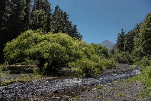 PARQUE NACIONAL LAGUNA DEL LAJA