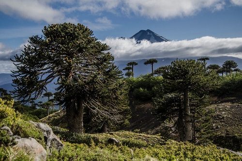 PARQUE NACIONAL CONGUILLIO