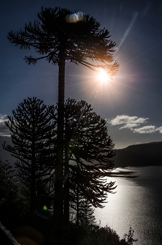 PARQUE NACIONAL CONGUILLIO