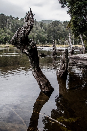 PARQUE NACIONAL CONGUILLIO