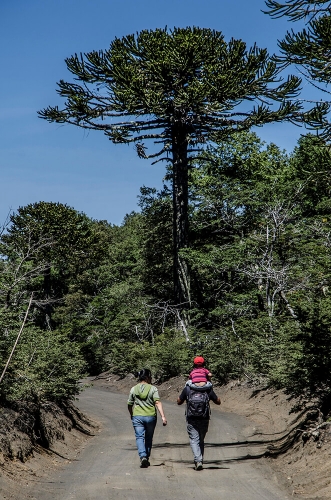 PARQUE NACIONAL CONGUILLIO