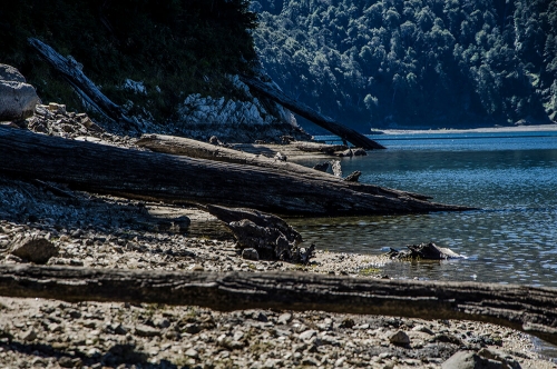 PARQUE NACIONAL CONGUILLIO