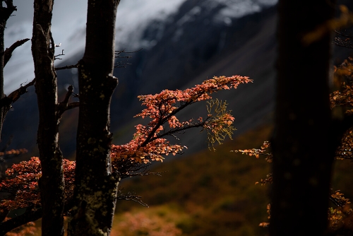 PARQUE NACIONAL TORRES DEL PAINE