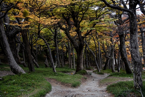 PARQUE NACIONAL TORRES DEL PAINE