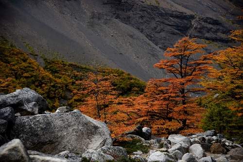 PARQUE NACIONAL TORRES DEL PAINE