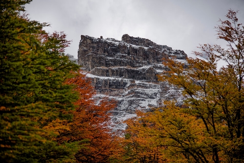 PARQUE NACIONAL TORRES DEL PAINE