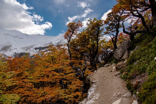 PARQUE NACIONAL TORRES DEL PAINE