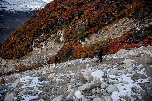 PARQUE NACIONAL TORRES DEL PAINE