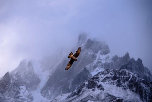 PARQUE NACIONAL TORRES DEL PAINE