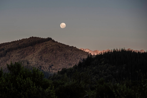 CAMINO A MONTE OSCURO