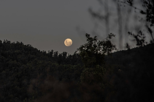 CAMINO A MONTE OSCURO