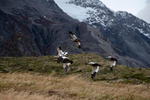 PARQUE NACIONAL TORRES DEL PAINE