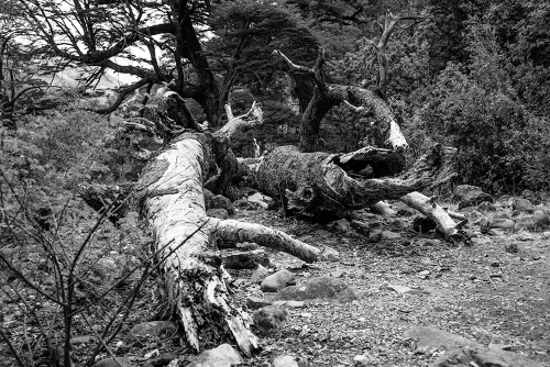 SENDERO CASCADA LAS ANIMAS