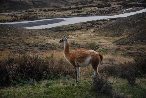 PARQUE NACIONAL TORRES DEL PAINE