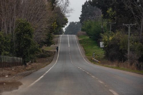 EN RUTA A VILCHES