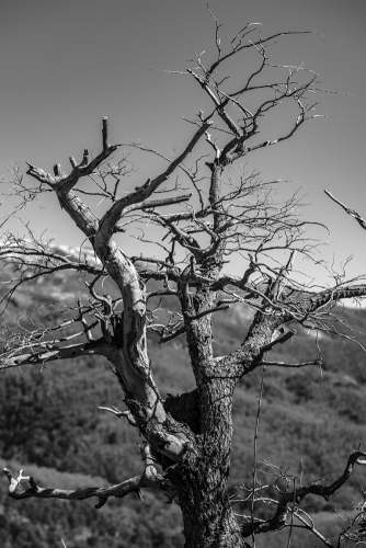 VILCHES ALTO, TREKKING SENDERO PIEDRA BLANCA