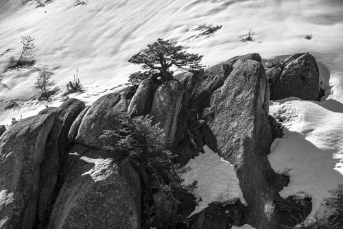 VILCHES ALTO, TREKKING SENDERO PIEDRA BLANCA