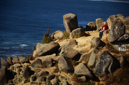 PUNTA DE LOBOS - 02/2013